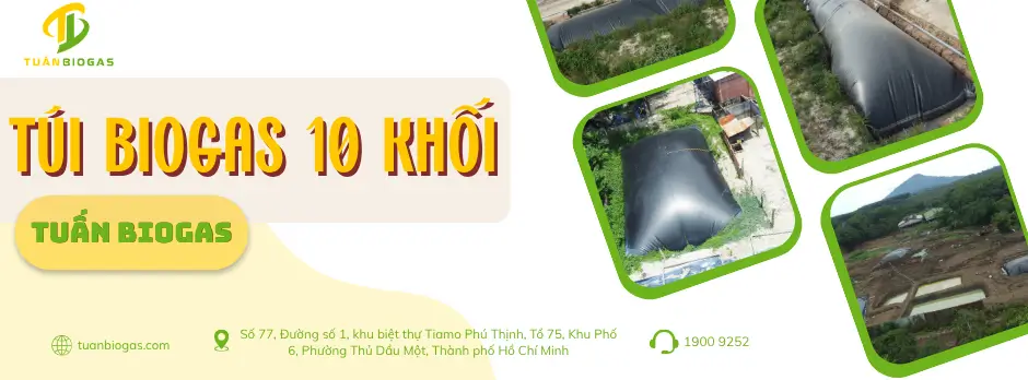 Túi Biogas 10 Khối Xử Lý Chất Thải Chăn Nuôi Hộ Gia Đình: Giải Pháp Tiết Kiệm, Bền Vững Hàng Đầu